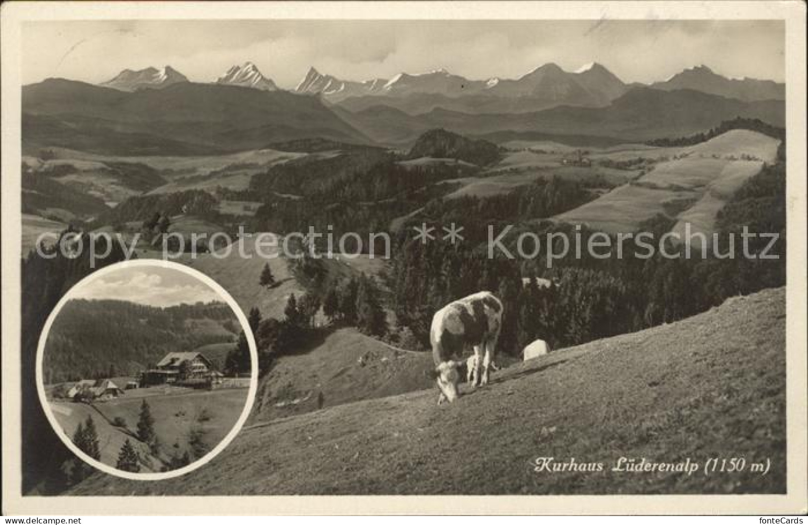 12044427 Luederenalp Kurhaus Kuh Alpenpanorama Luederenalp - Autres & Non Classés