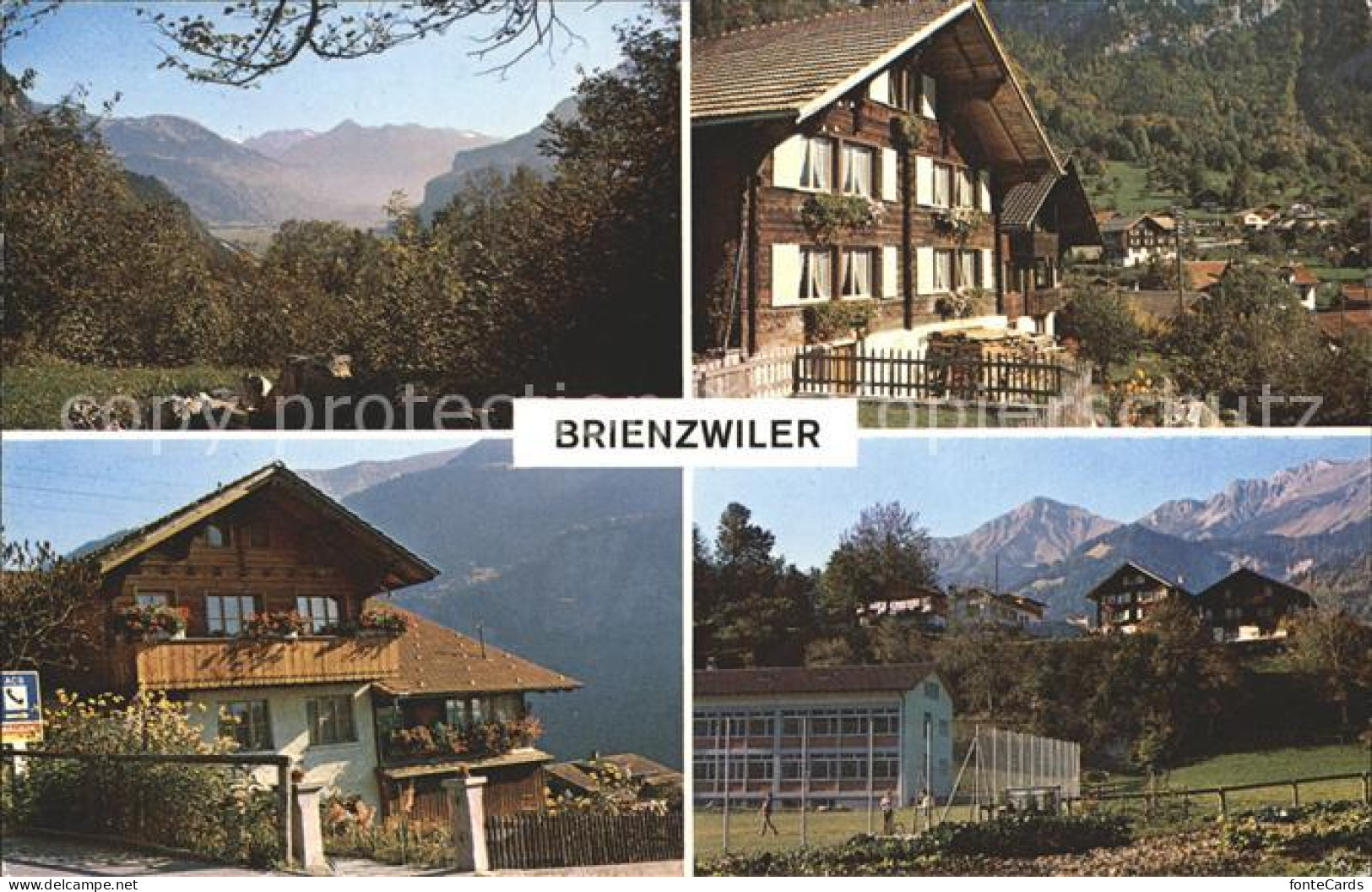 12042297 Brienzwiler  Brienzwiler - Sonstige & Ohne Zuordnung