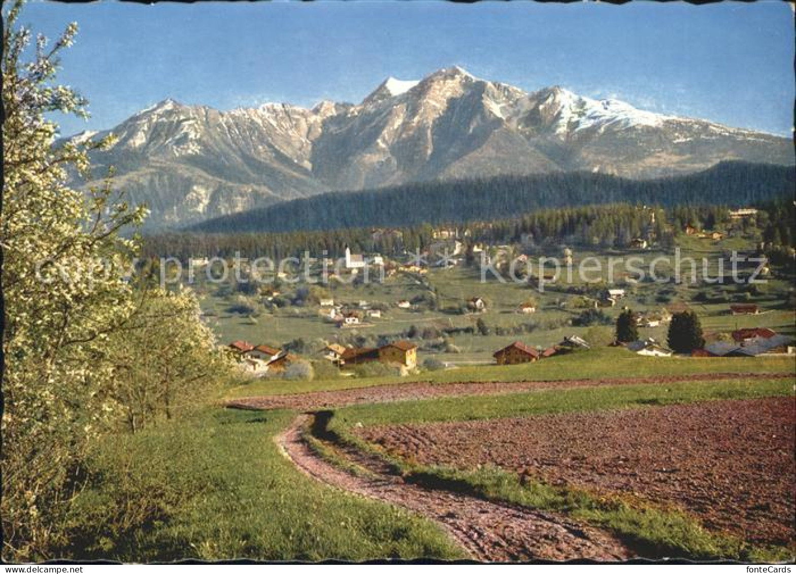 12038257 Flims Waldhaus Signinagruppe Flims Waldhaus - Sonstige & Ohne Zuordnung