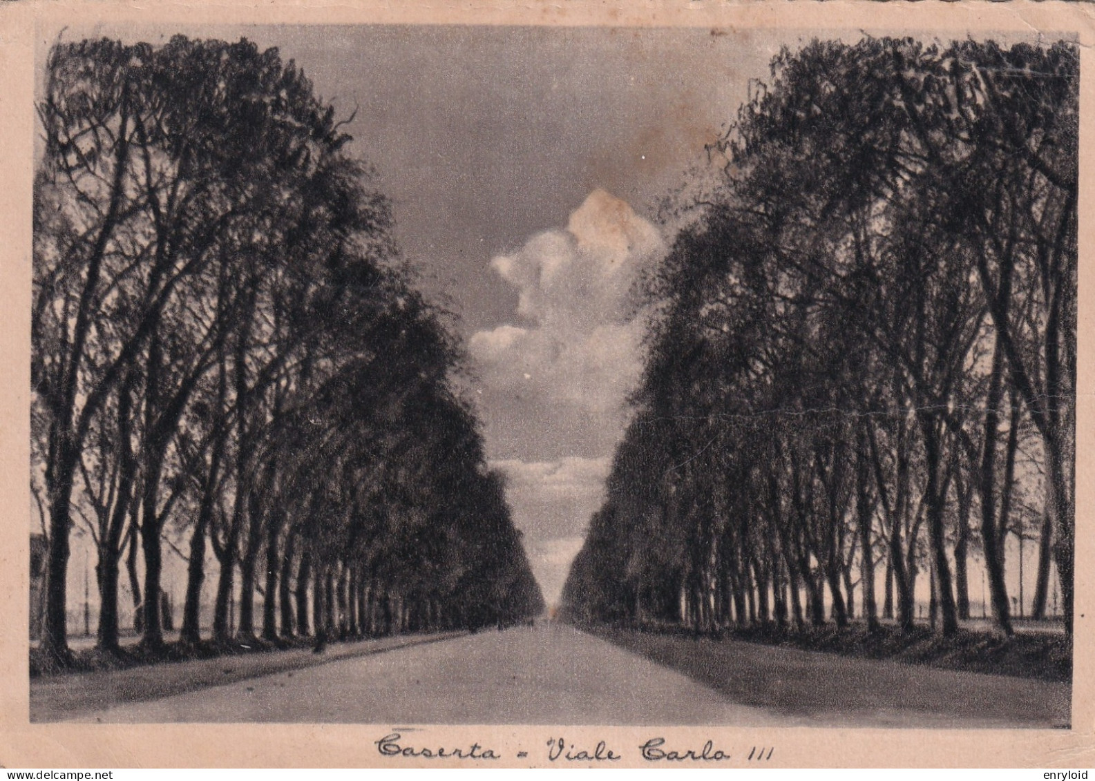 Caserta Viale Carlo III - Caserta