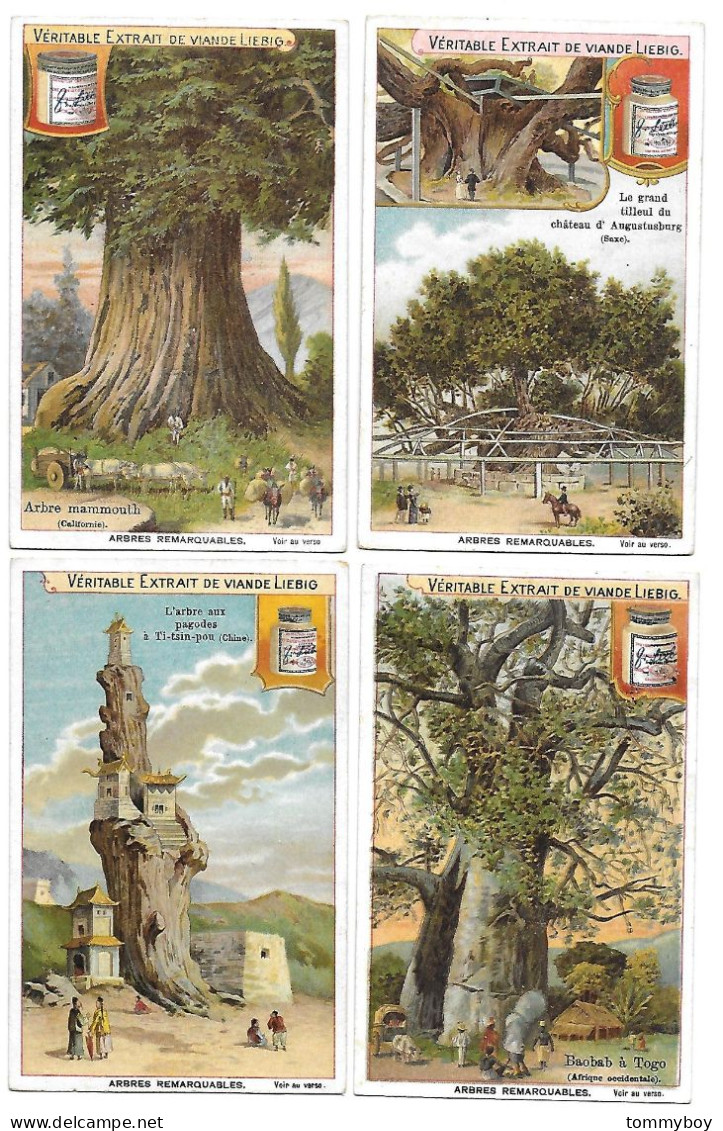 S 690, Liebig 6 Cards, Arbres Remarquables (ref B17) - Liebig