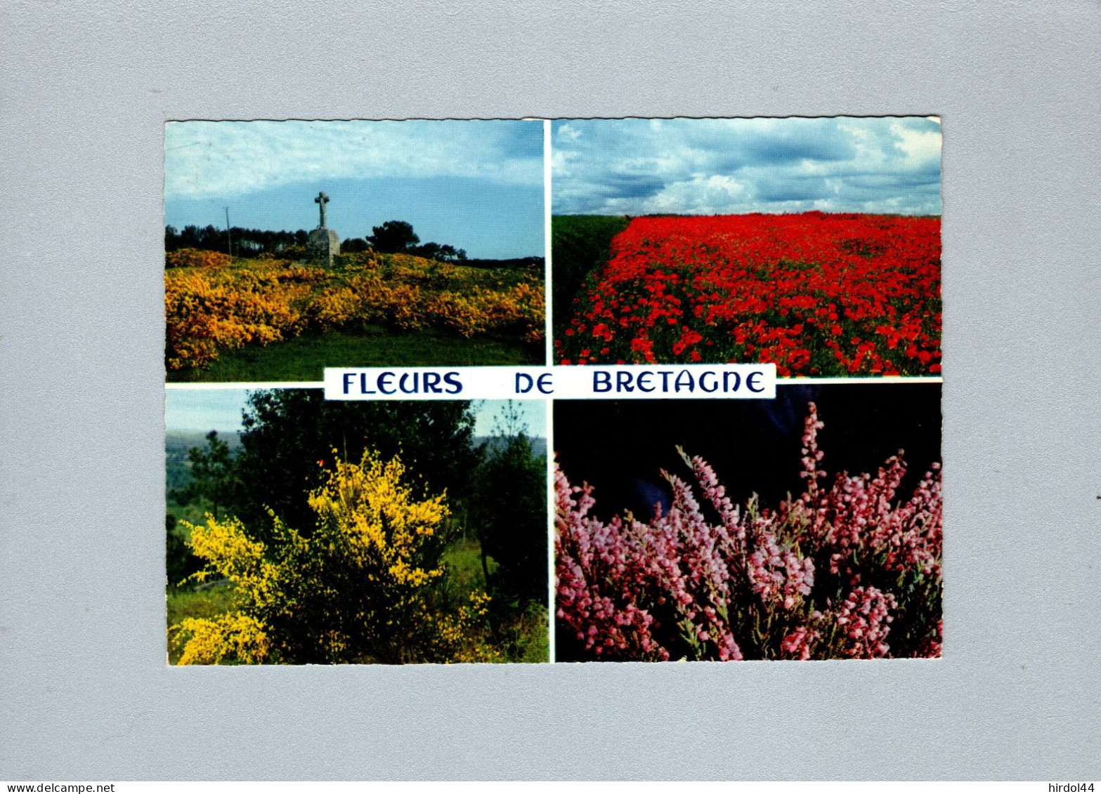 Fleurs De Bretagne - Bretagne