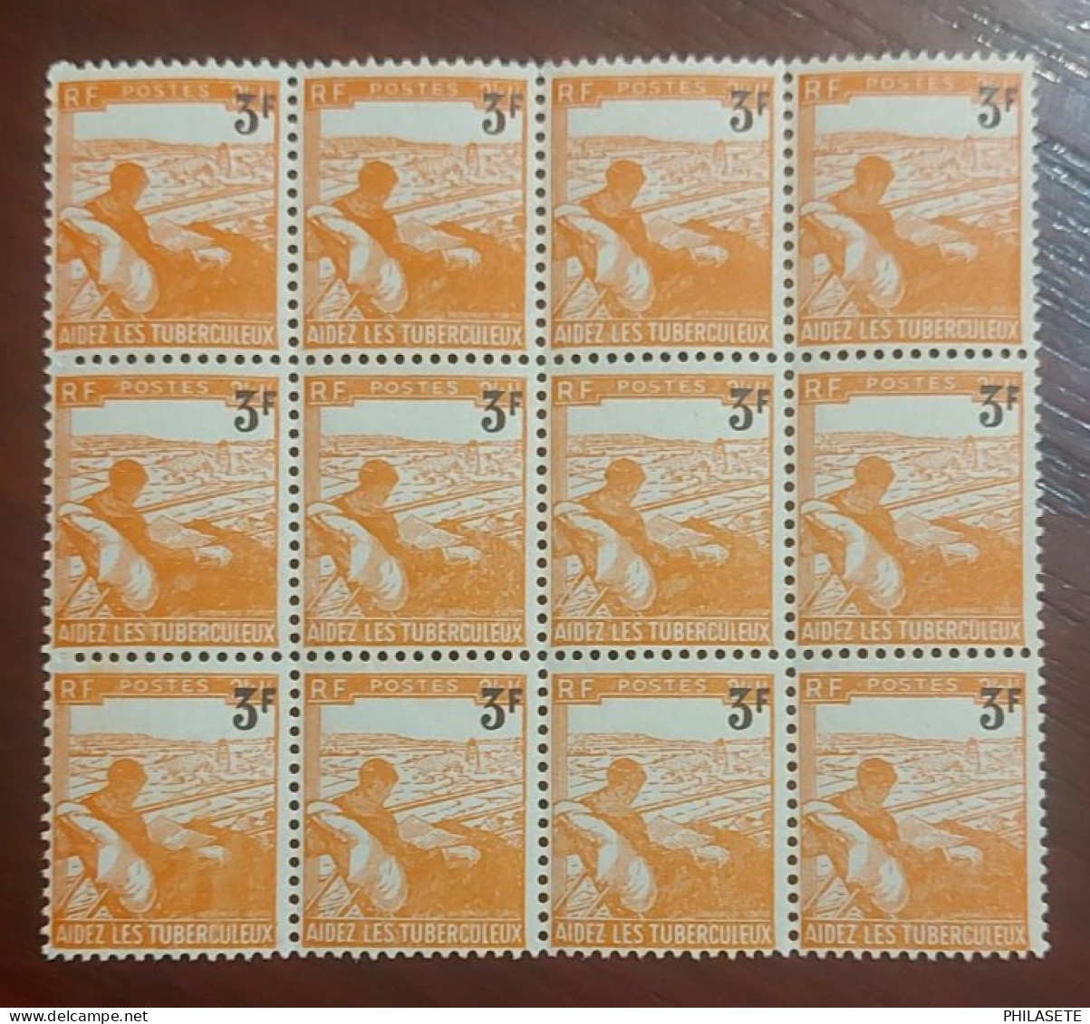 France 1946 Neuf** Bloc De 12 Timbres YV N° 750 Au Profit Des Tuberculeux - Nuevos