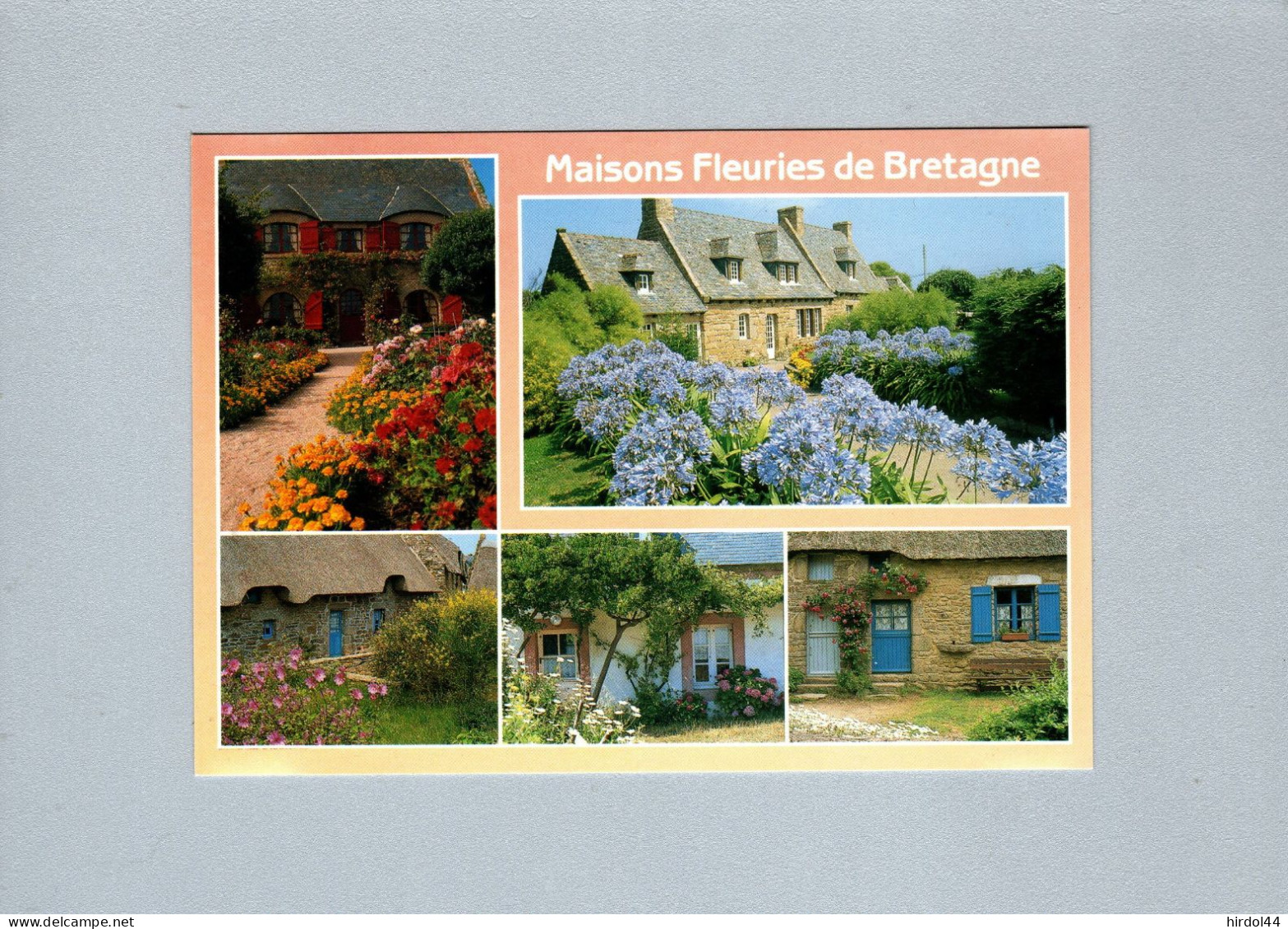 Fleurs De Bretagne - Bretagne