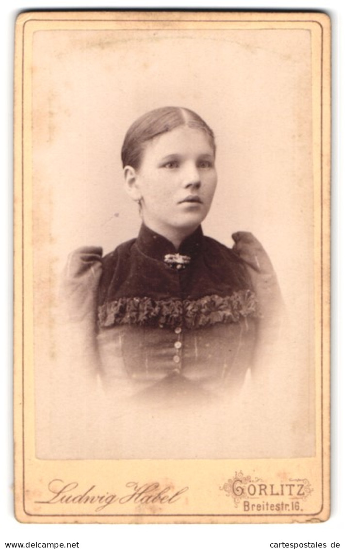 Fotografie Ludwig Habel, Görlitz, Breitestrasse 16, Junges Fräulein Im Puffärmelkleid  - Anonieme Personen