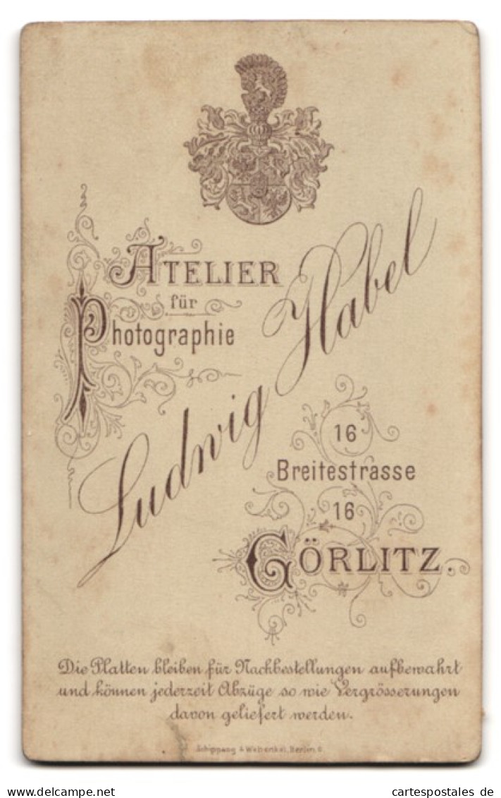 Fotografie Ludwig Habel, Görlitz, Breitestrasse 16, Junges Fräulein Im Puffärmelkleid  - Anonieme Personen