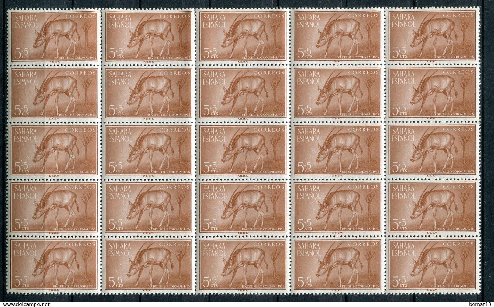 Sahara 1955. Edifil 123-25 X 25 ** MNH. - Spanische Sahara