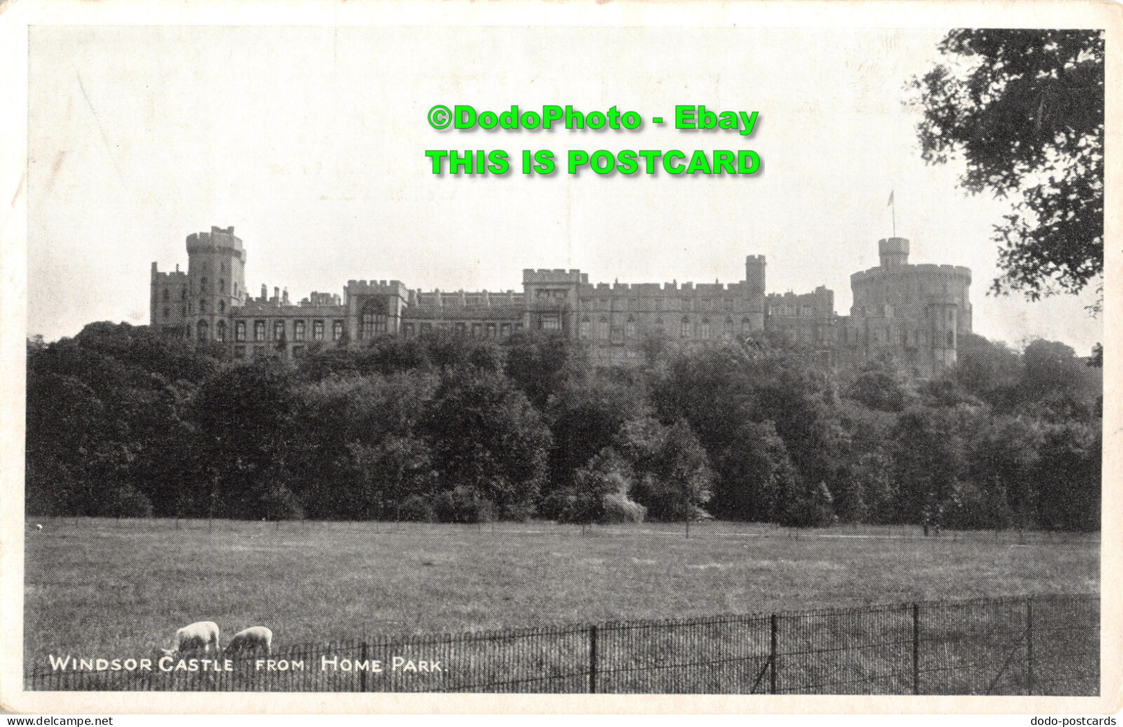 R414584 Windsor Castle. From Home Park. Phoenix Publishing - Monde