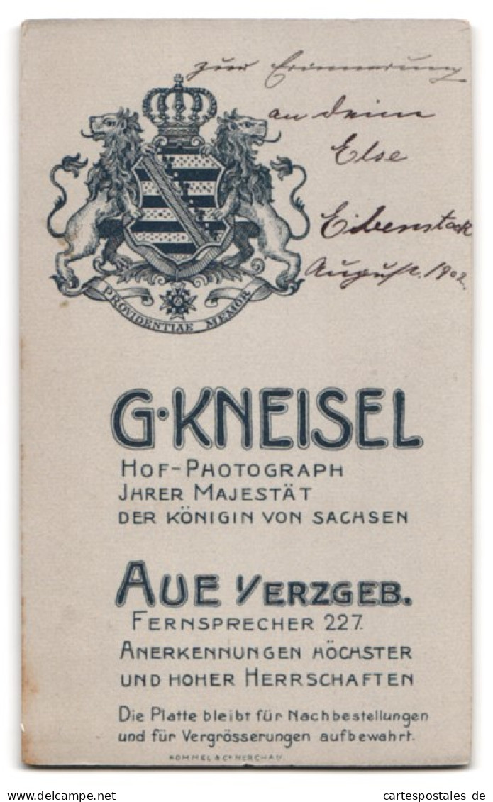 Fotografie G. Kneisel, Aue I /Erzgeb., Portrait Junge Dame Mit Zurückgebundenem Haar  - Personnes Anonymes