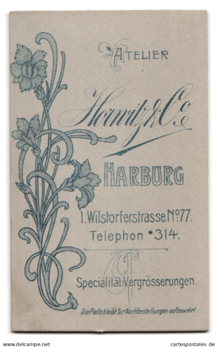 Fotografie Horwitz & Co, Harburg, Wilstorferstrasse 77, Bürgerliche Frau Mit Pelz  - Anonymous Persons