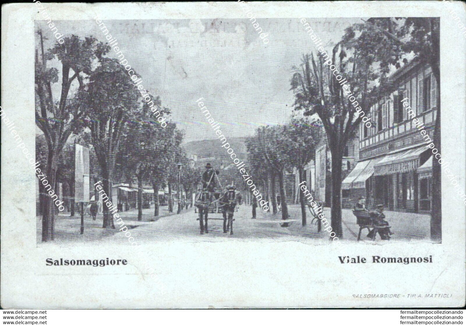 Ba40 Cartolina Salsomaggiore Viale Romagnosi Parma Emilia Romagna - Parma