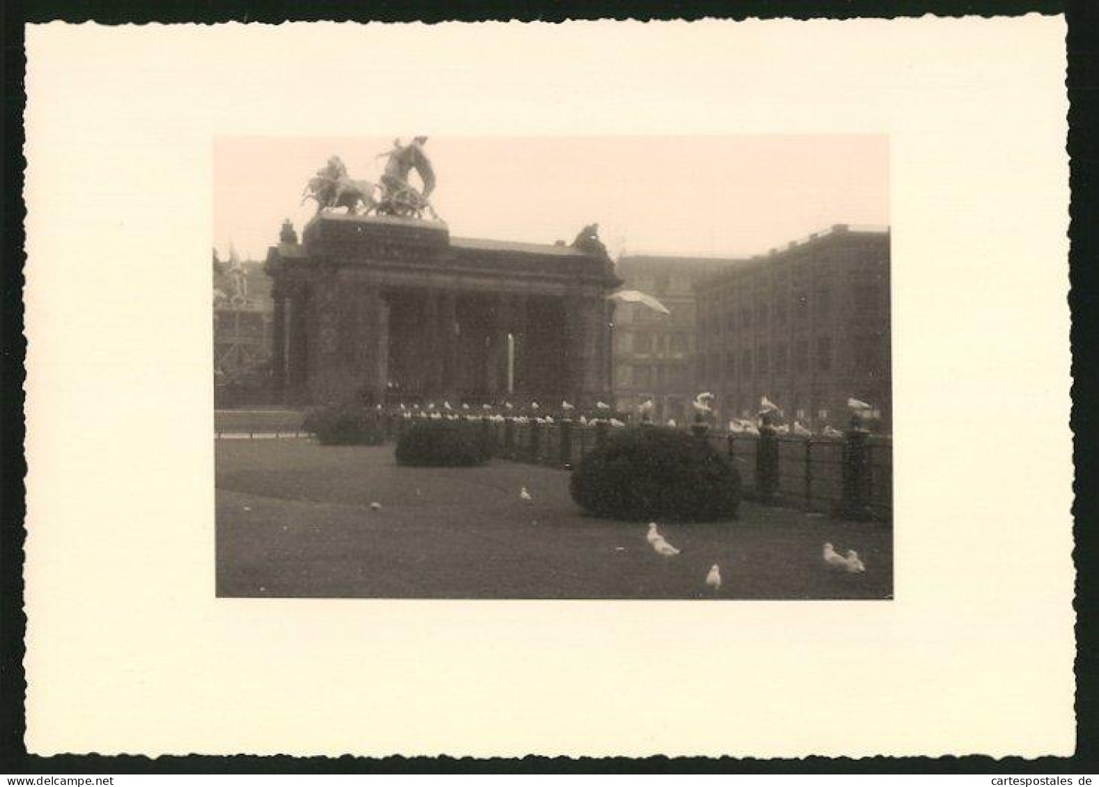 Fotografie Unbekannter Fotograf, Ansicht Berlin, Möwen Am Kaiser-Wilhelm-Nationaldenkmal  - Lieux