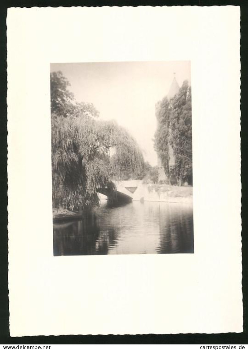 Fotografie Unbekannter Fotograf, Ansicht Berlin, Partie Im Tiergarten  - Lieux