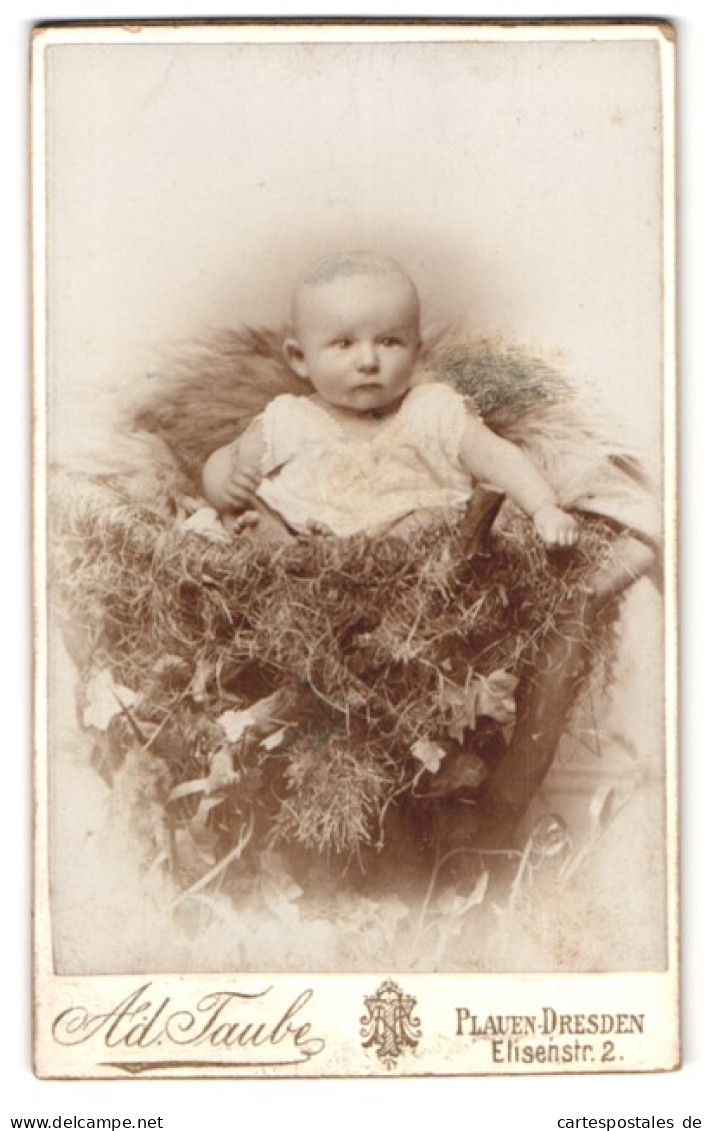 Fotografie Ad. Taube, Plauen-Dresden, Elisenstr. 2, Portrait Kleinkind Im Im Sessel Sitzend  - Anonyme Personen