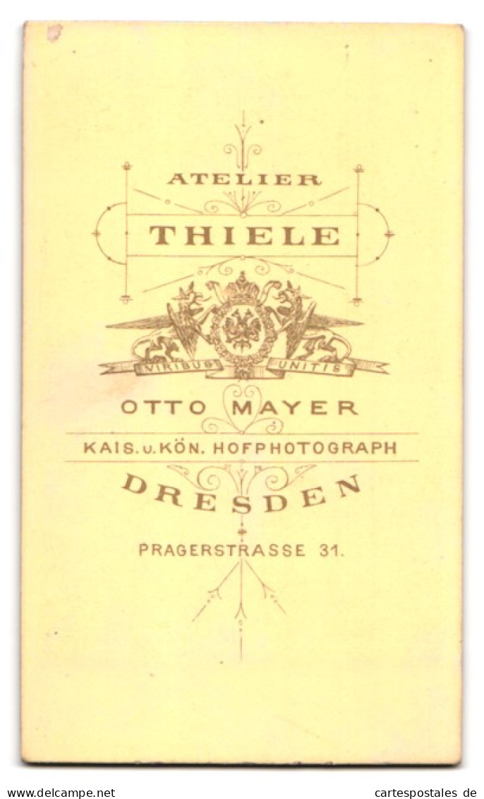 Fotografie Atelier Thiele, Dresden, Pragerstrasse 31, Portrait Mann In Jacke Mit Querbinder  - Personnes Anonymes