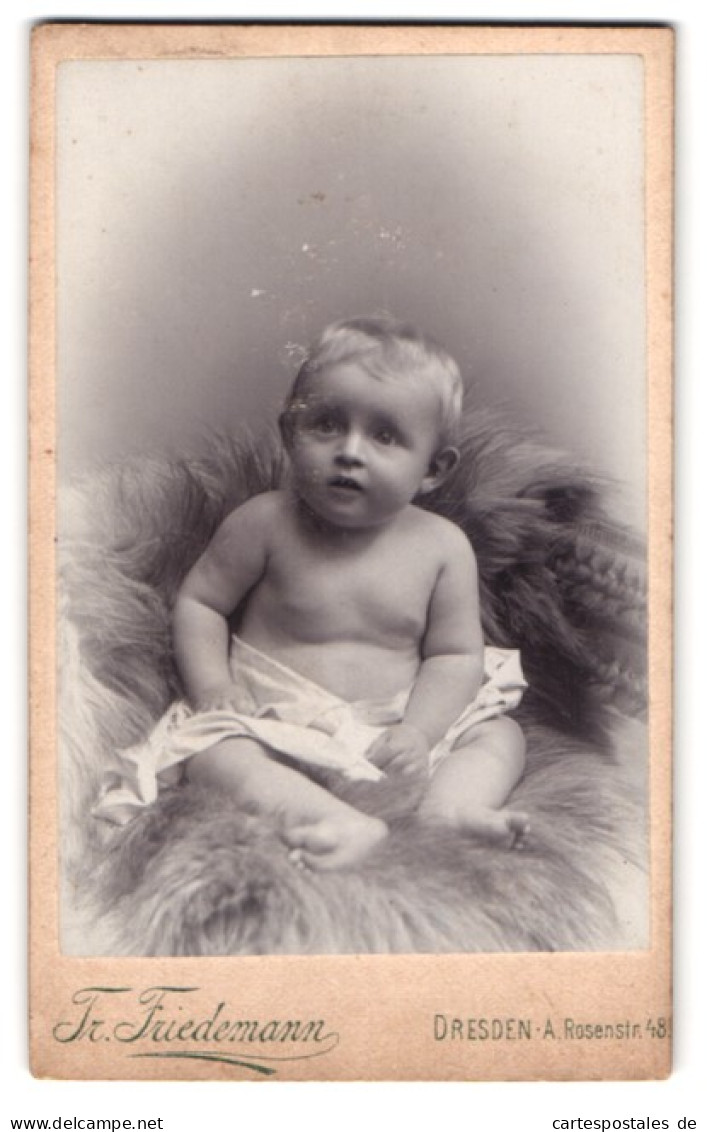 Fotografie Tr. Friedemann, Dresden-A., Rosenstr. 48, Portrait Baby Auf Fell Posierend  - Anonymous Persons