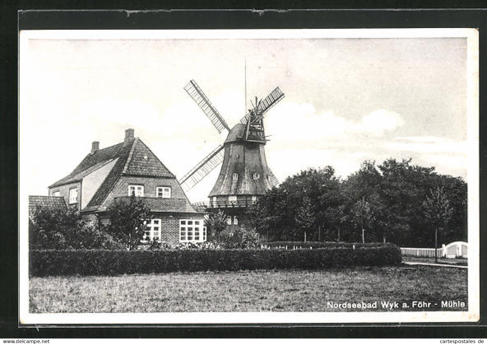 AK Wyk /Föhr, Windmühle Im Ort  - Windmolens