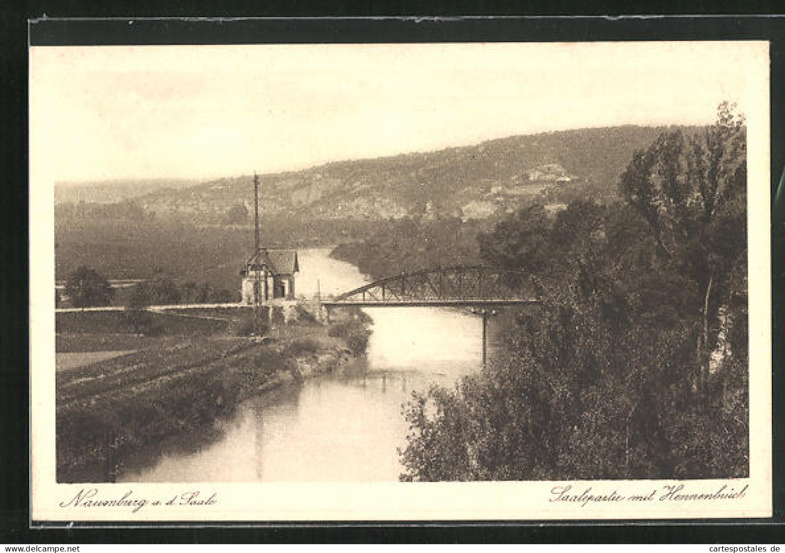 AK Naumburg A. D. Saale, Saalepartie Mit Hennenbrücke  - Naumburg (Saale)