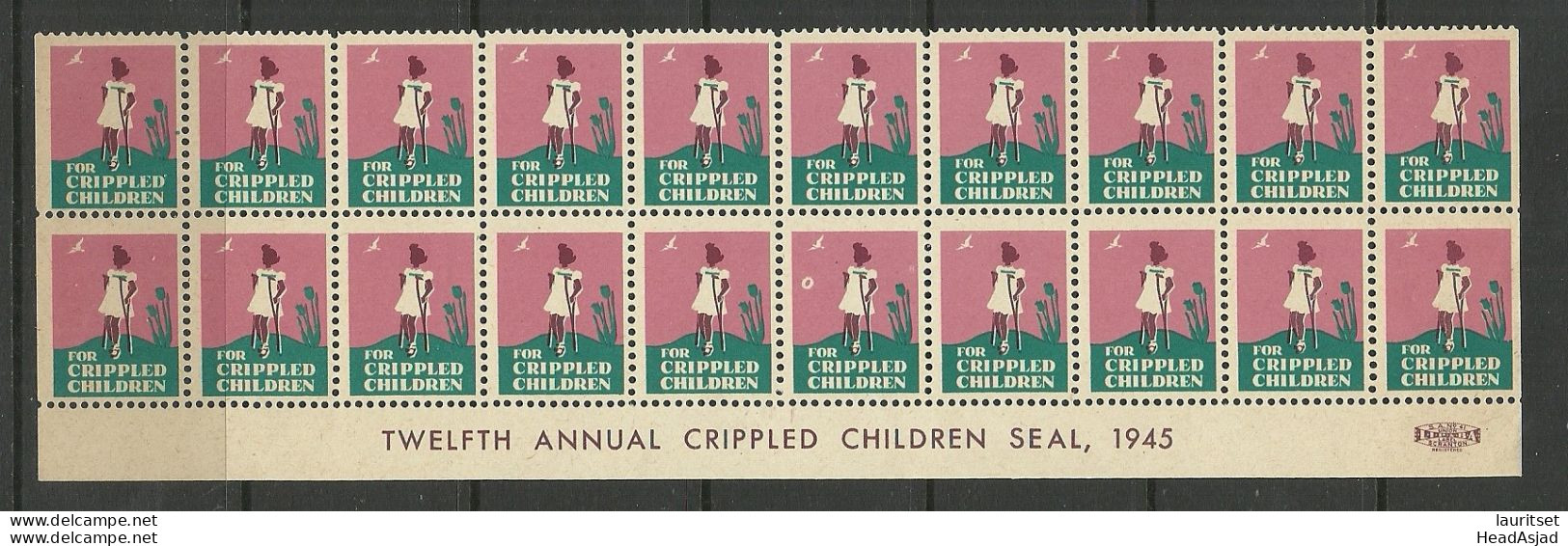 USA 1945 For Crippled Children Charity Vignette As 20-block With Margin MNH - Behinderungen