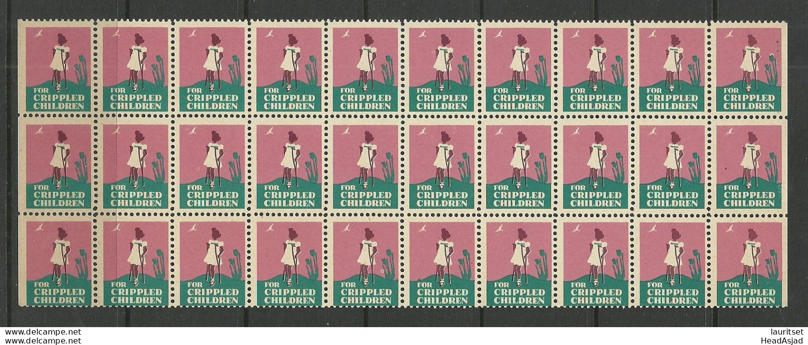 USA 1945 For Crippled Children Charity Vignette As 30-block MNH - Other & Unclassified