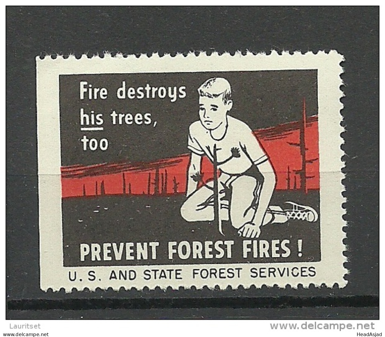 USA Ca 1940 Vignette Prevent Forest Fires Usa And State Forest Services MNH - Vignetten (Erinnophilie)