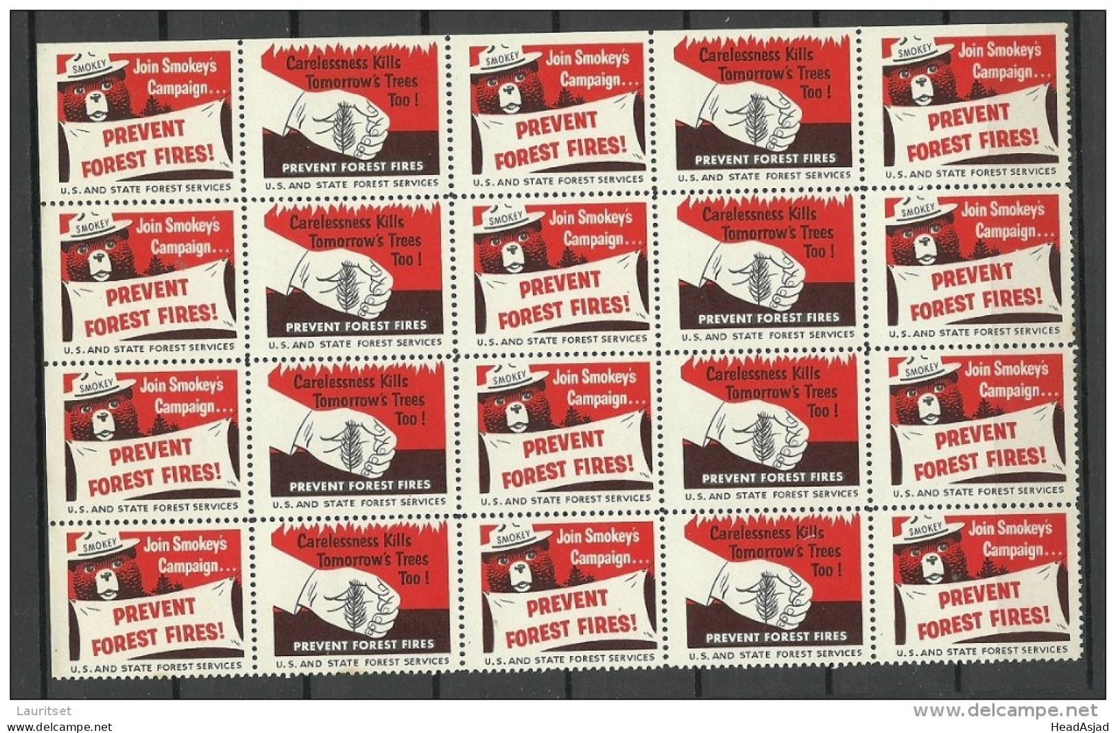 USA 1938 Vignette Prevent Forest Fires Usa And State Forest Services In 20-block MNH - Erinnofilia