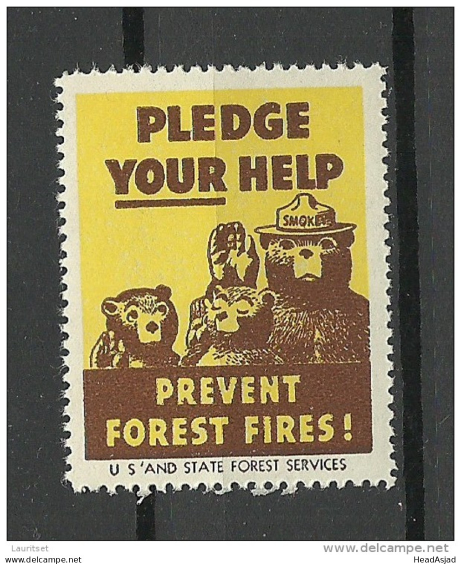 USA 1938 Vignette Prevent Forest Fires Usa And State Forest Services MNH - Vignetten (Erinnophilie)