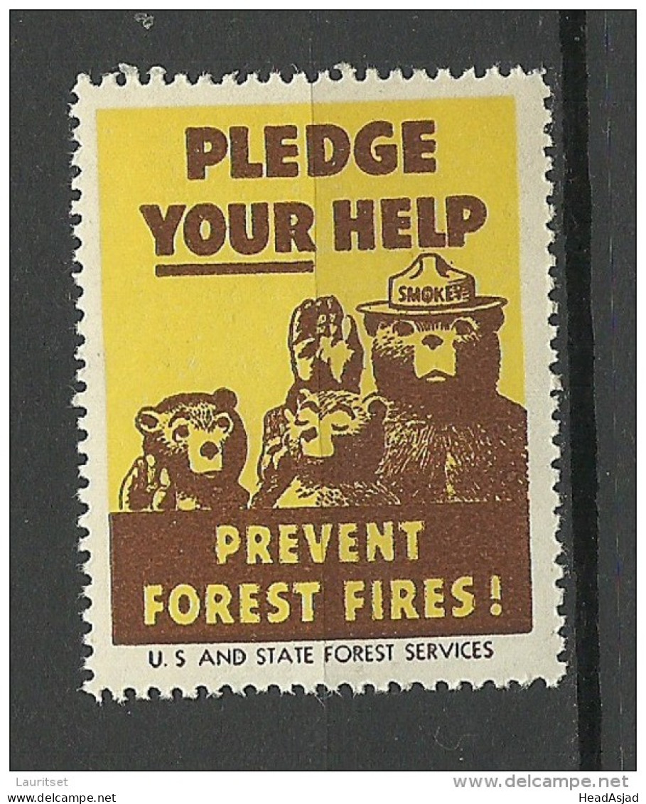 USA 1938 Vignette Prevent Forest Fires Usa And State Forest Services MNH - Erinnophilie