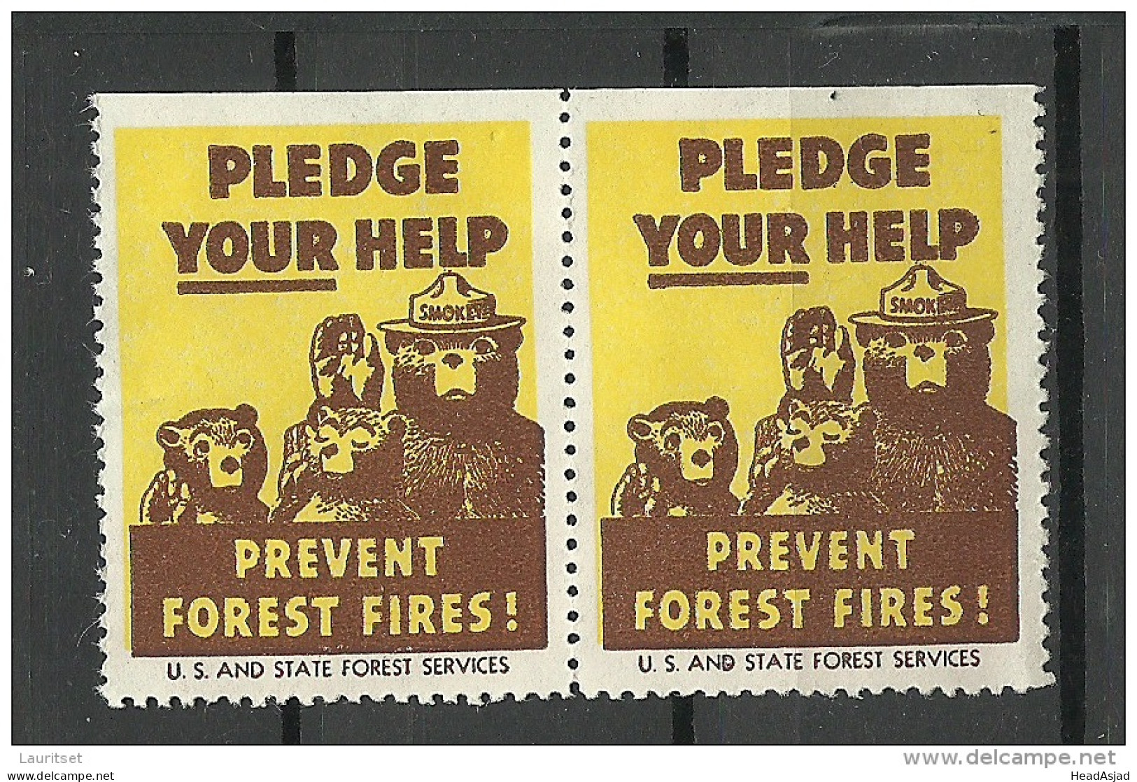 USA 1938 Vignette Prevent Forest Fires In Pair Usa And State Forest Services (*) - Cinderellas
