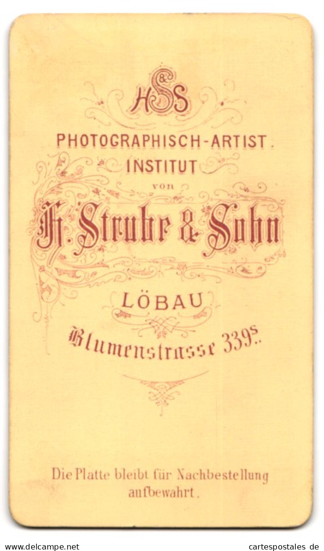 Fotografie H. Strube & Sohn, Löbau, Blumenstrasse 339s, Adretter Bursche Mit Scheitel Und Ringelsocken  - Anonymous Persons