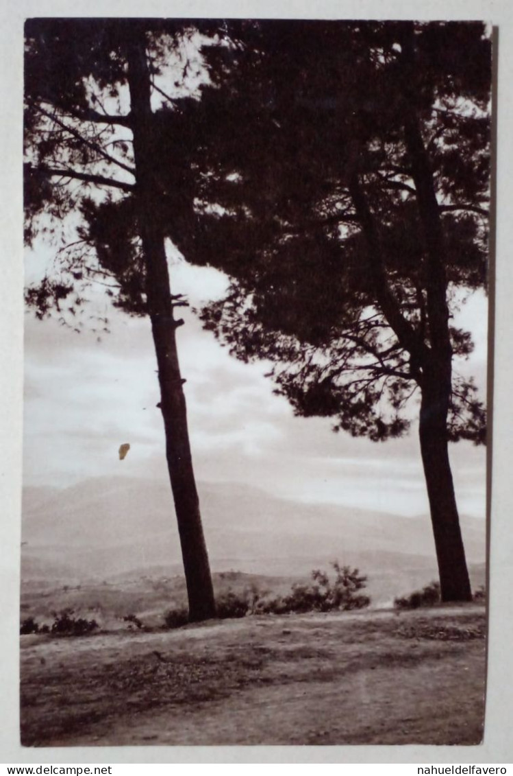 Carte Postale - Paysage De Montagne. - Photographie