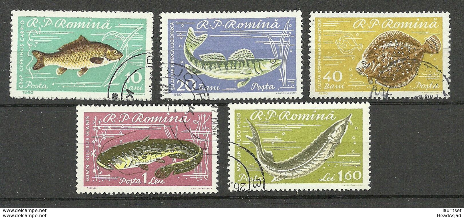 Romania 1960 = 5 Werte Aus Satz Michel 1927 - 1933 O Fische Fishes - Vissen