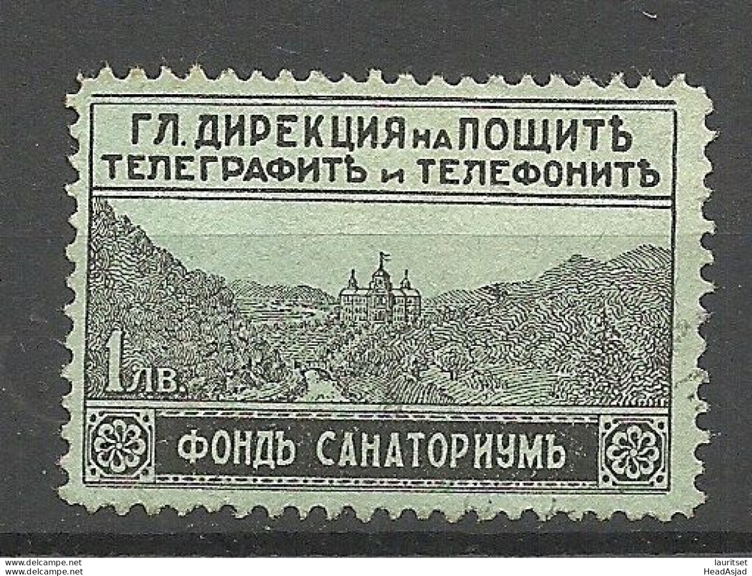 BULGARIA Bulgarien 1925 Michel 1 (*) Mint No Gum Zwangzuschlagsmarke F√ºr Ferienheime Sanatorium - Ongebruikt