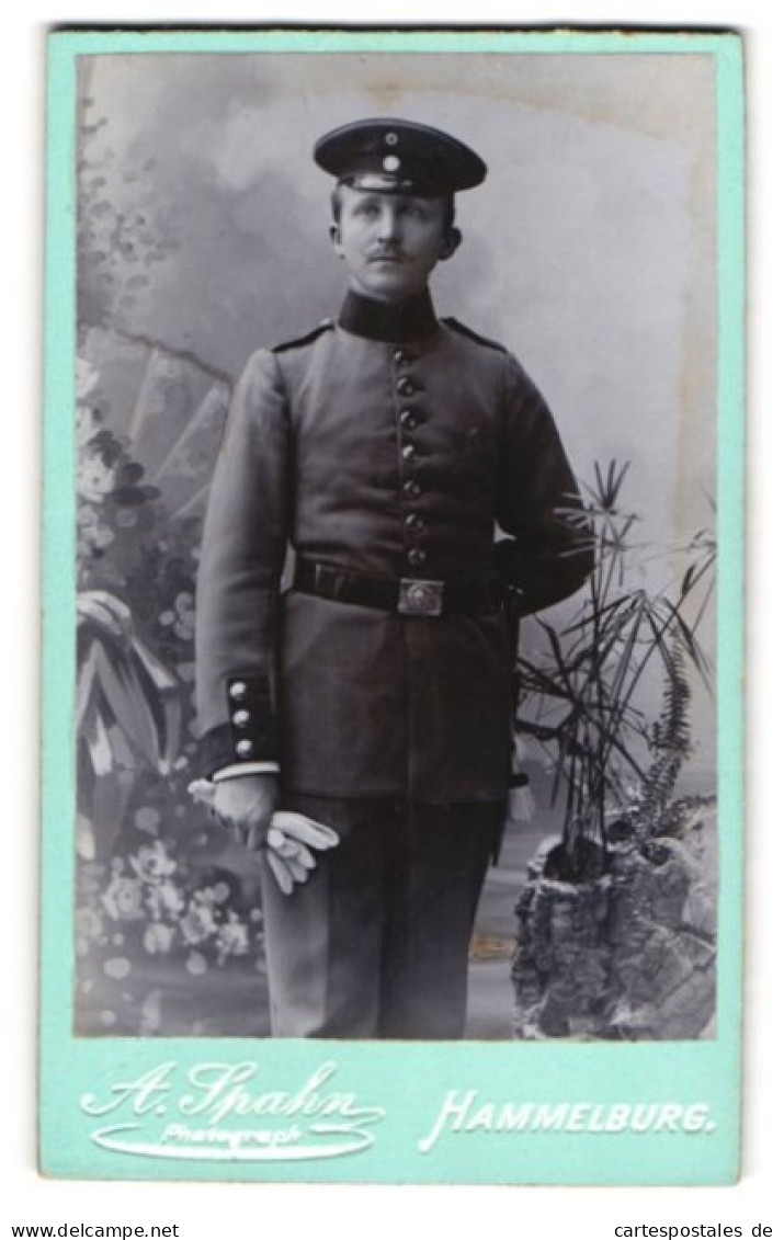 Fotografie A. Spahn, Hammelburg, Soldat In Uniform Rgt. 3 Mit Bajonett Zwischen Pflanzen Stehend  - Anonymous Persons