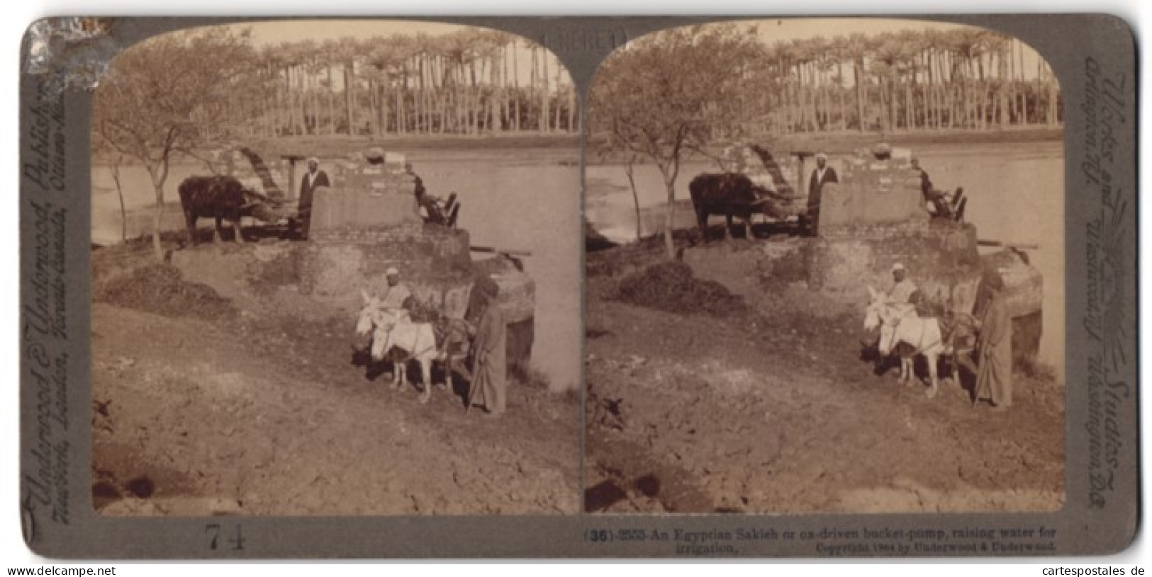 Vue Stéréoscopique-Photo Underwood & Underwood, New York,  Vue De Ägypten, Sakieh-fontaine, Ochse Treibt Fontaine An  - Stereoscoop