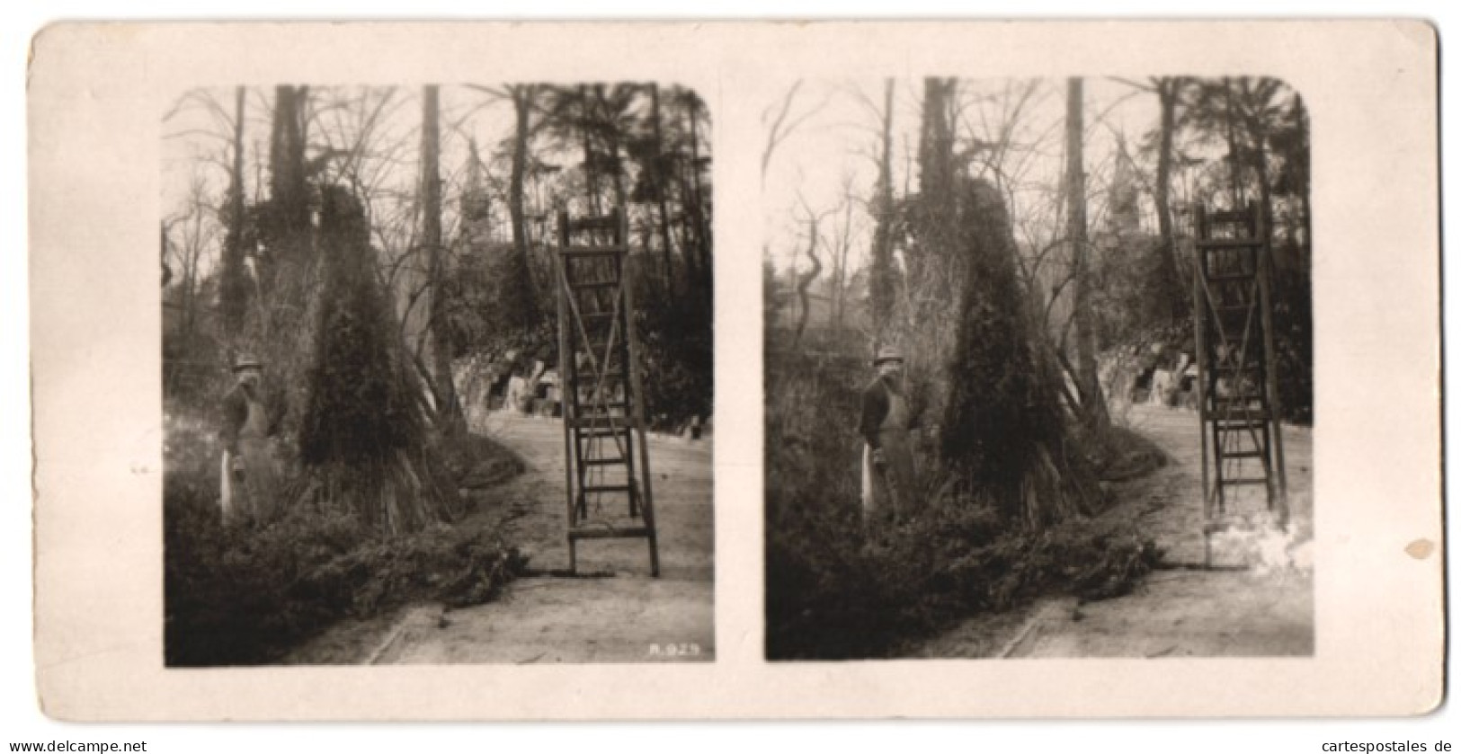 Stereo-Fotografie Unbekannter Fotograf Und Ort, Landschaftsgärtner Bei Der Arbeit In Einem Park  - Métiers