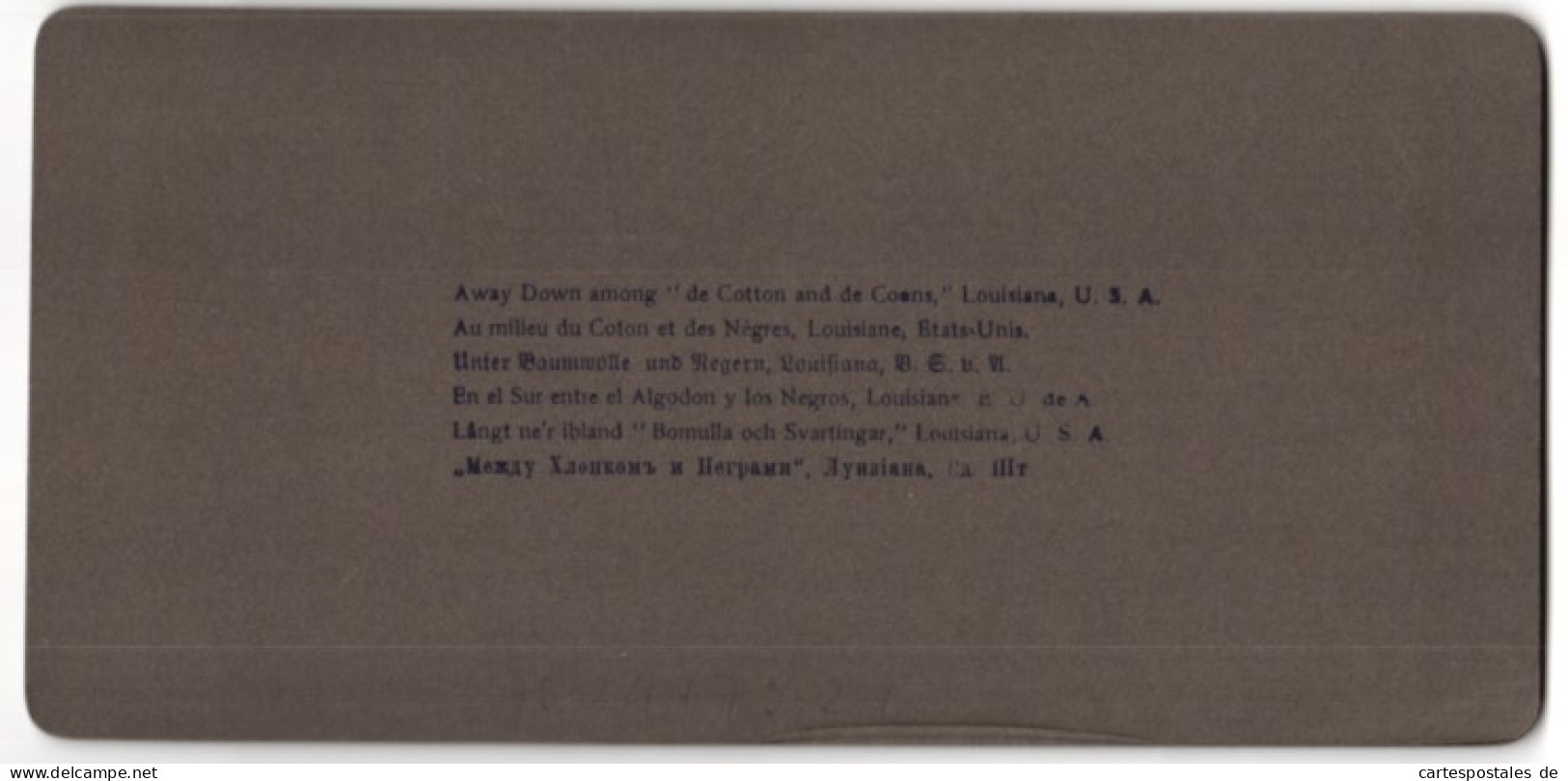Stereo-Fotografie Underwood & Underwood, New York, Afroamerikaner Bei Der Baumwoll-Ernte In Louisiana  - Métiers
