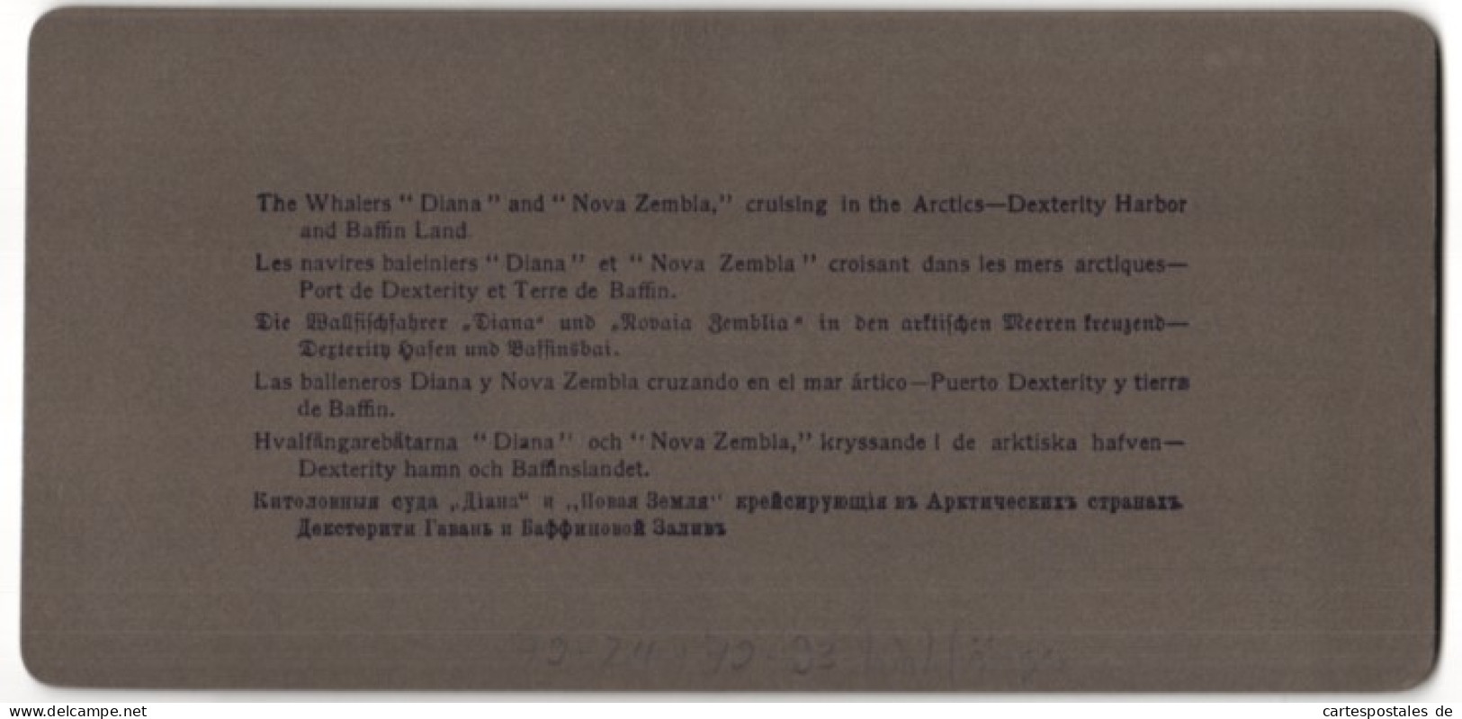 Stereo-Fotografie Underwood & Underwood, New York, Walfangschiffe Diana & Nova Zembla Vor Baffin Bay  - Photos Stéréoscopiques