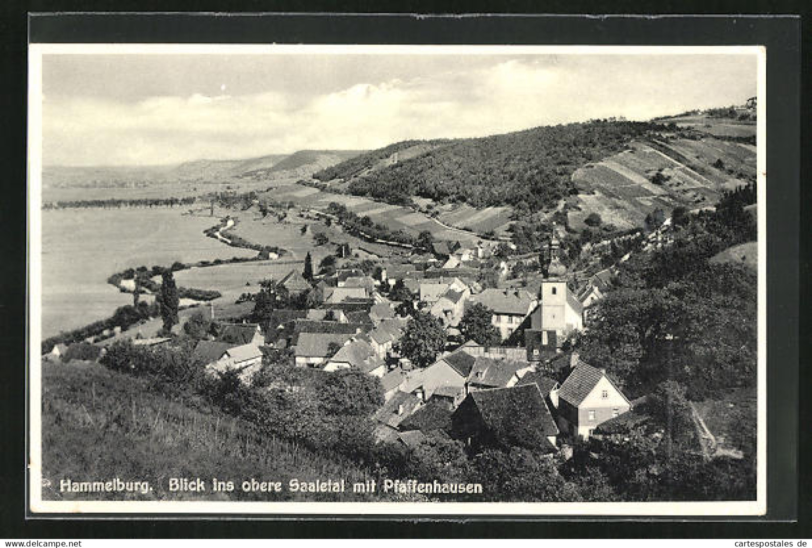 AK Pfaffenhausen B. Hammelburg, Blick Ins Obere Saaletal  - Hammelburg