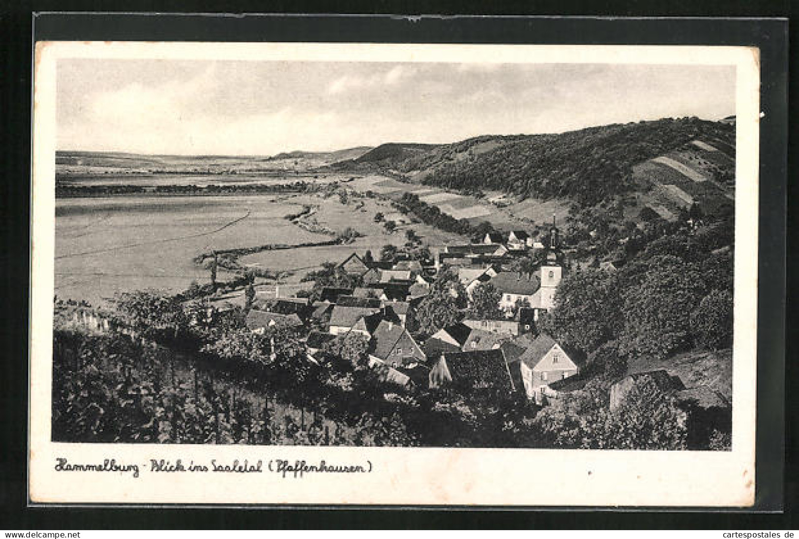 AK Pfaffenhausen B. Hammelburg, Panorama Des Saaletals  - Hammelburg