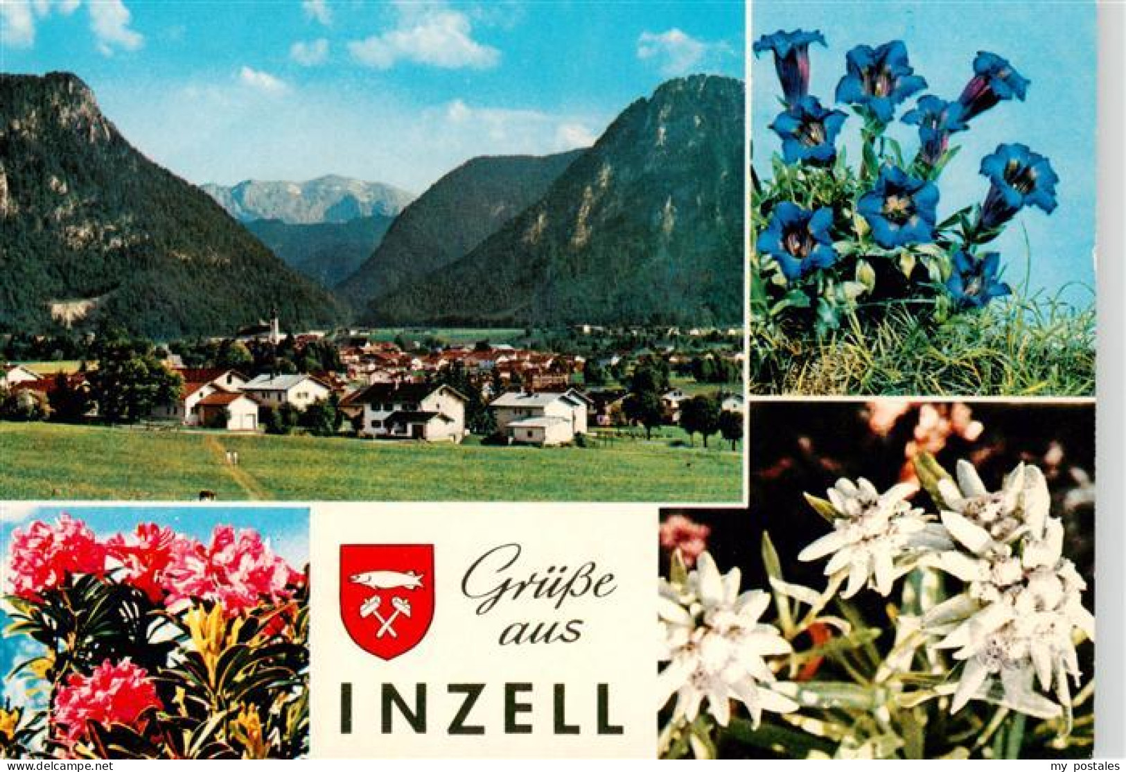73904320 Inzell Panorama Alpenflora - Sonstige & Ohne Zuordnung