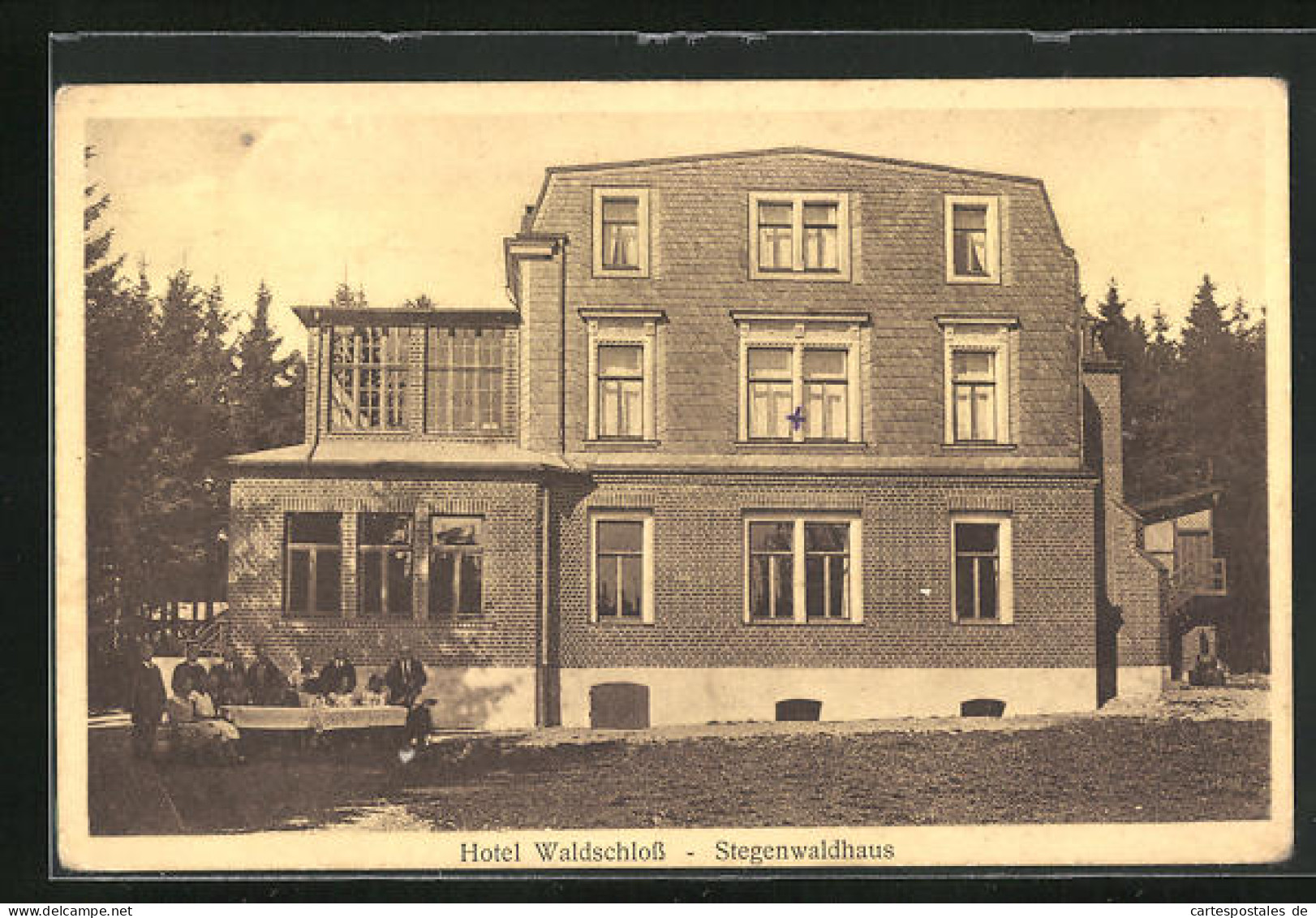 AK Stegenwaldhaus, Hotel Waldschloss  - Sonstige & Ohne Zuordnung