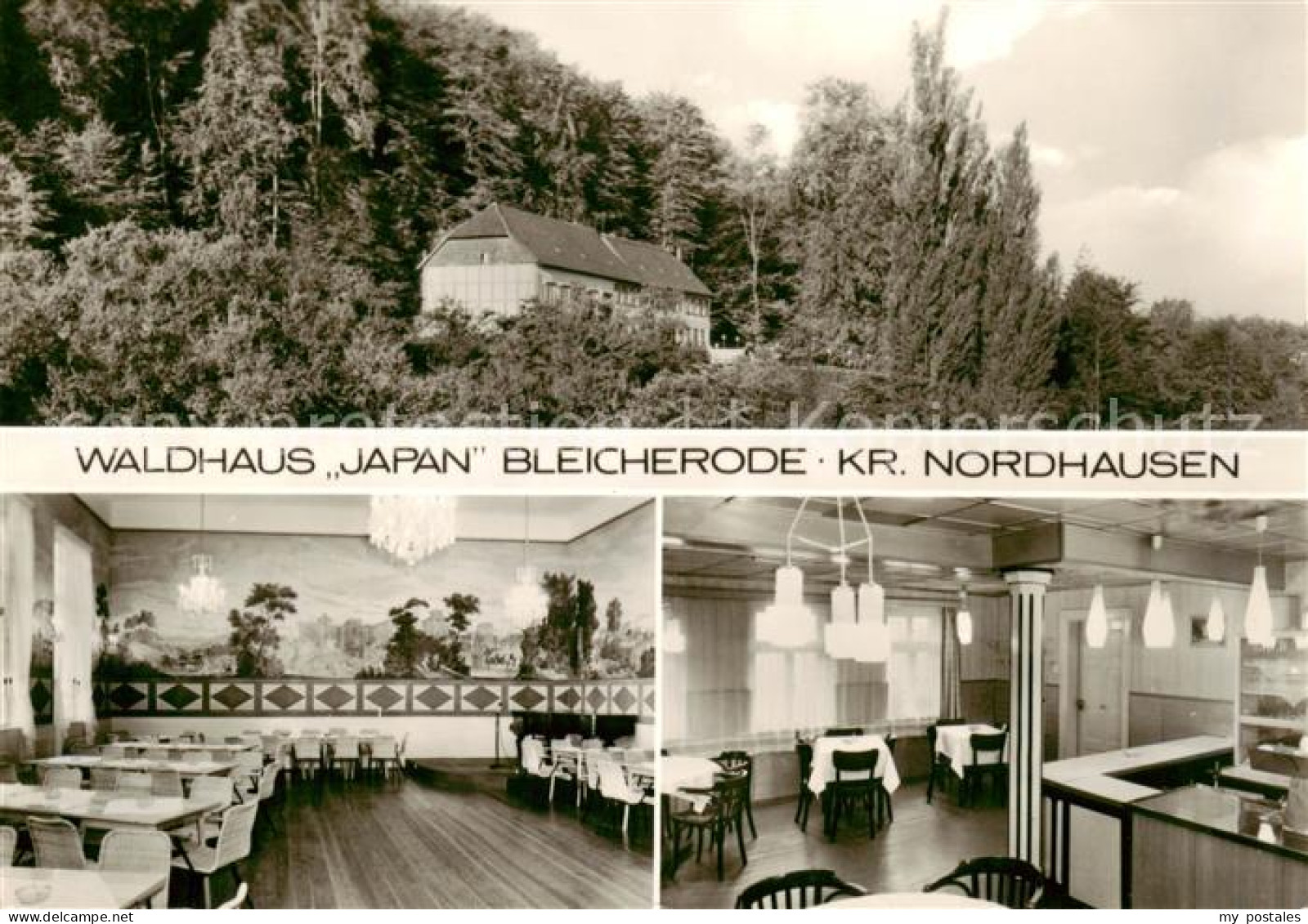 73865633 Bleicherode Waldhaus Japan Gaststaette Bleicherode - Bleicherode