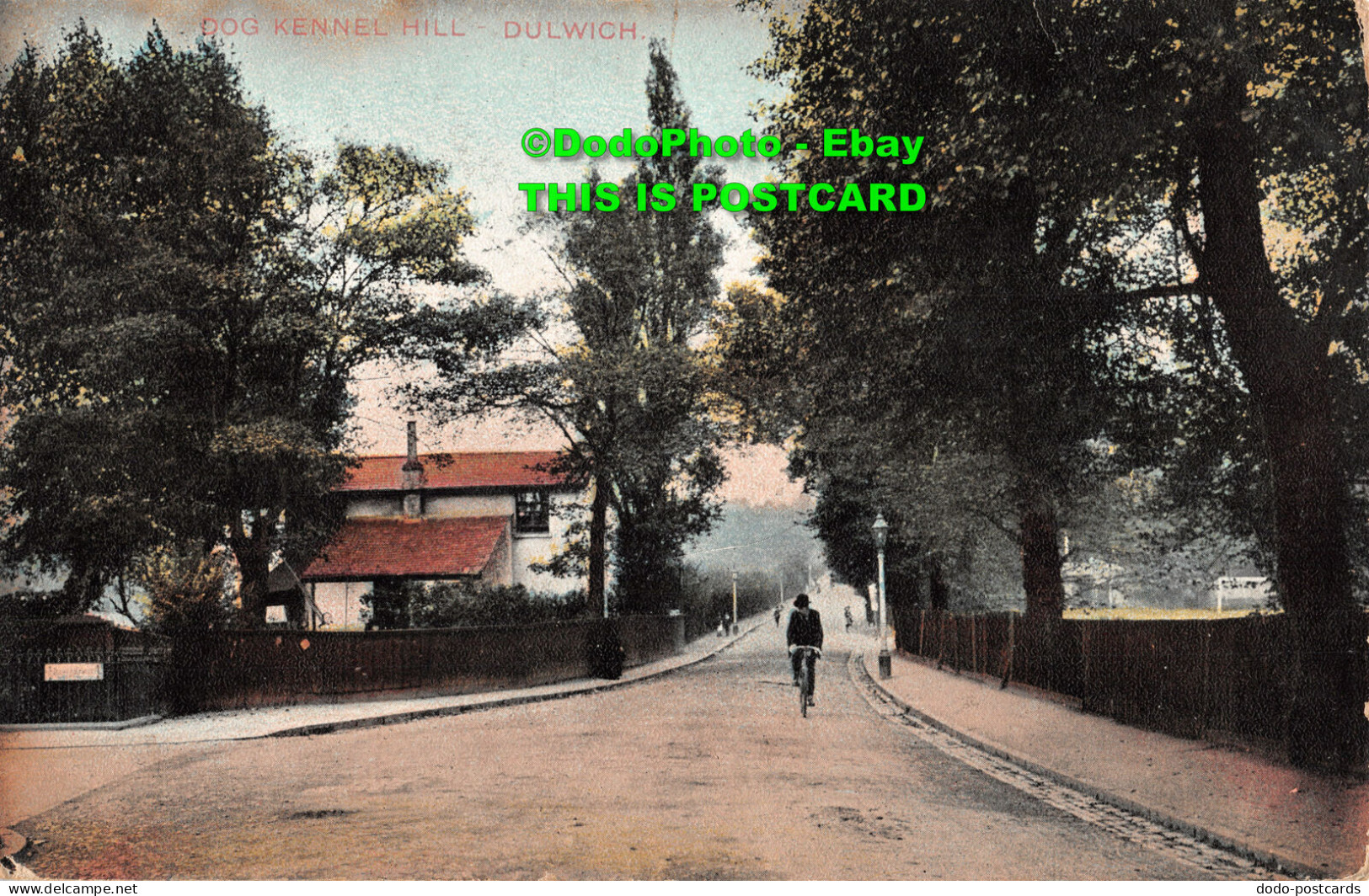 R415691 Dog Kennel Hill. Dulwich. Charles Martin. No. 5009. 1906 - Wereld