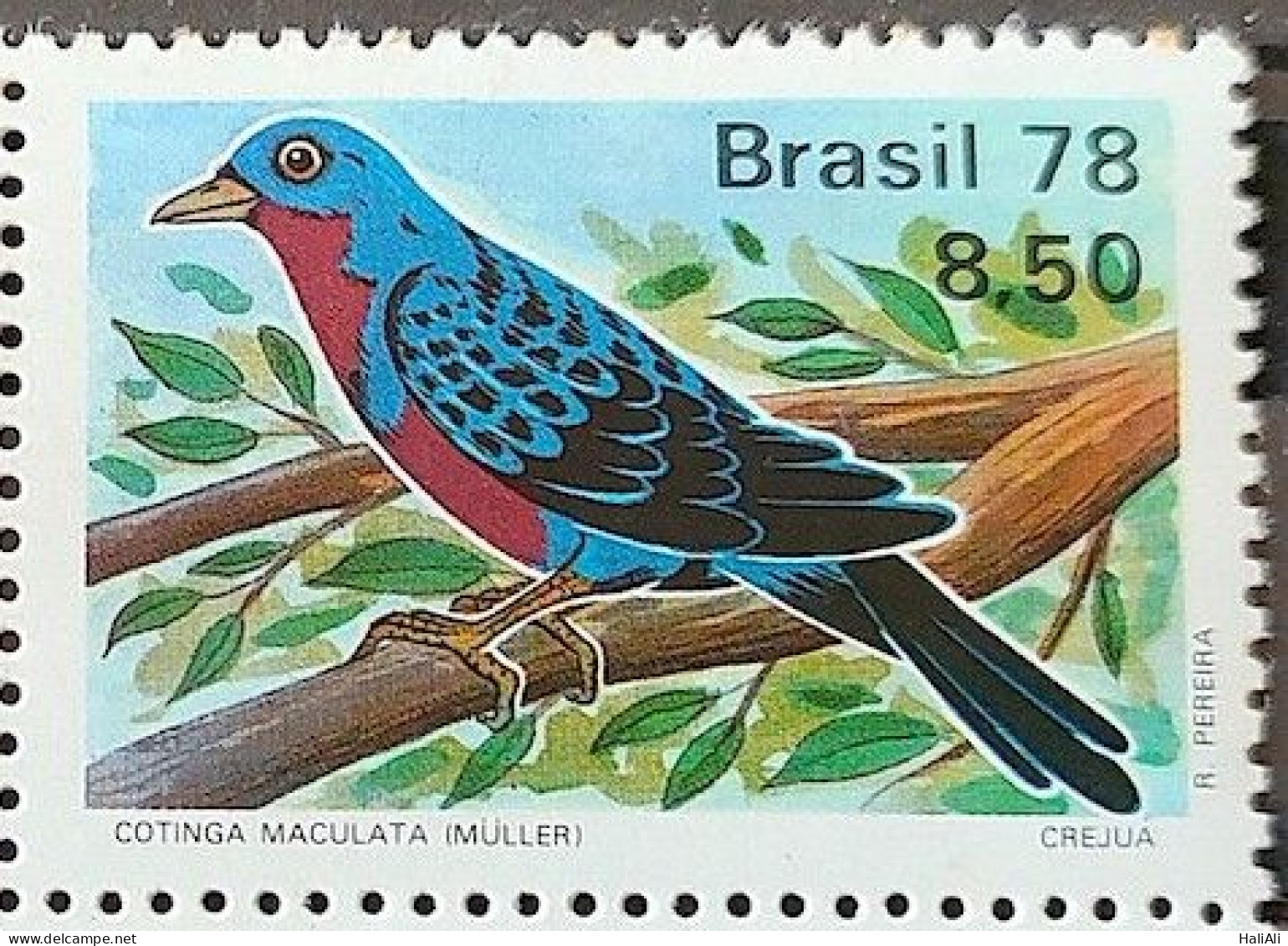 C 1037 Brazil Stamp Fauna Bird Cotinga 1978 - Unused Stamps
