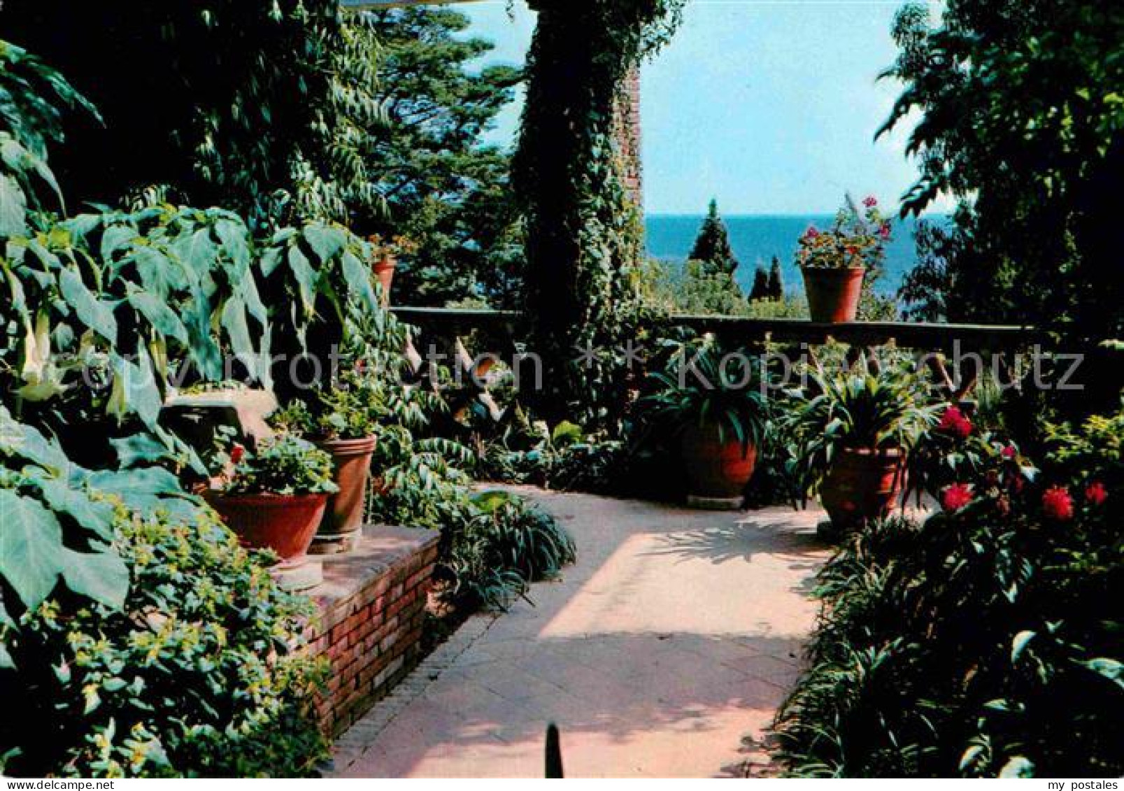 72752794 Blanes Botanischer Garten Marlmurtra Costa Brava - Andere & Zonder Classificatie