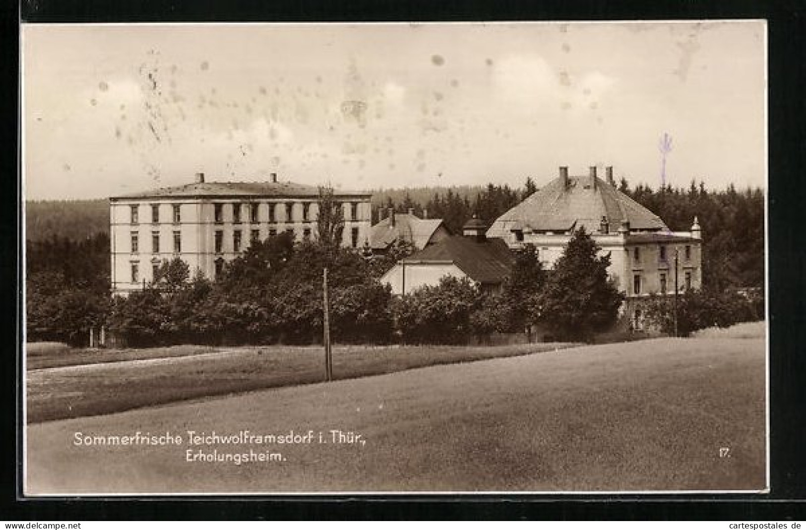 AK Teichwolframsdorf I. Thür., Auf Den Wiesen Vor Dem Erholungsheim  - Other & Unclassified