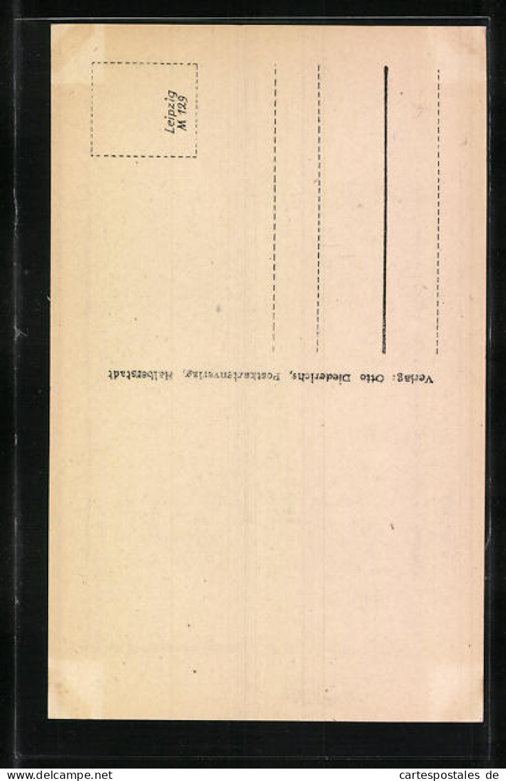 AK Halberstadt, Stelzfuss, Alte Fachwerkhäuser  - Halberstadt