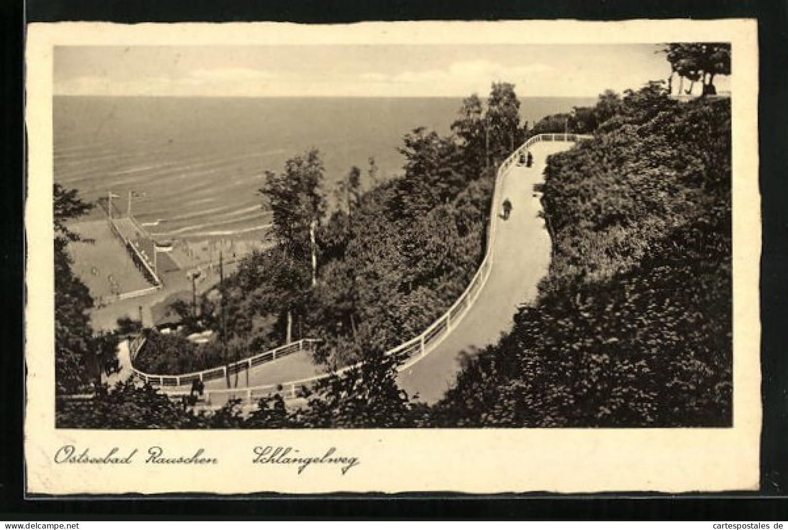 AK Rauschen A. D. Ostsee, Unterwegs Auf Dem Schlängelweg, Blick Hinaus Aufs Meer  - Ostpreussen