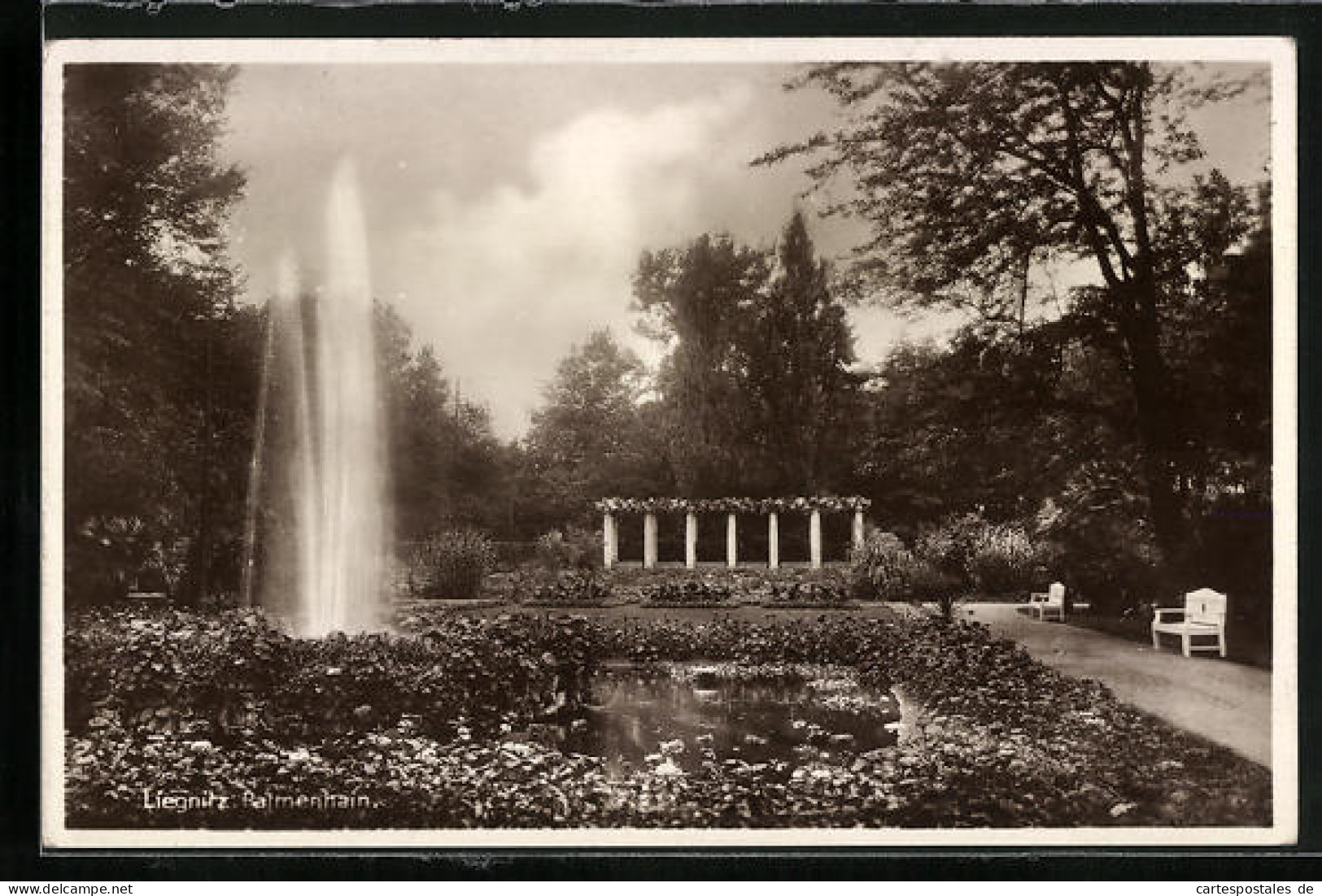 AK Liegnitz, Wasserspiel Im Palmenhain  - Schlesien